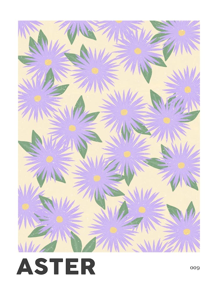 Aster September Birth Flower