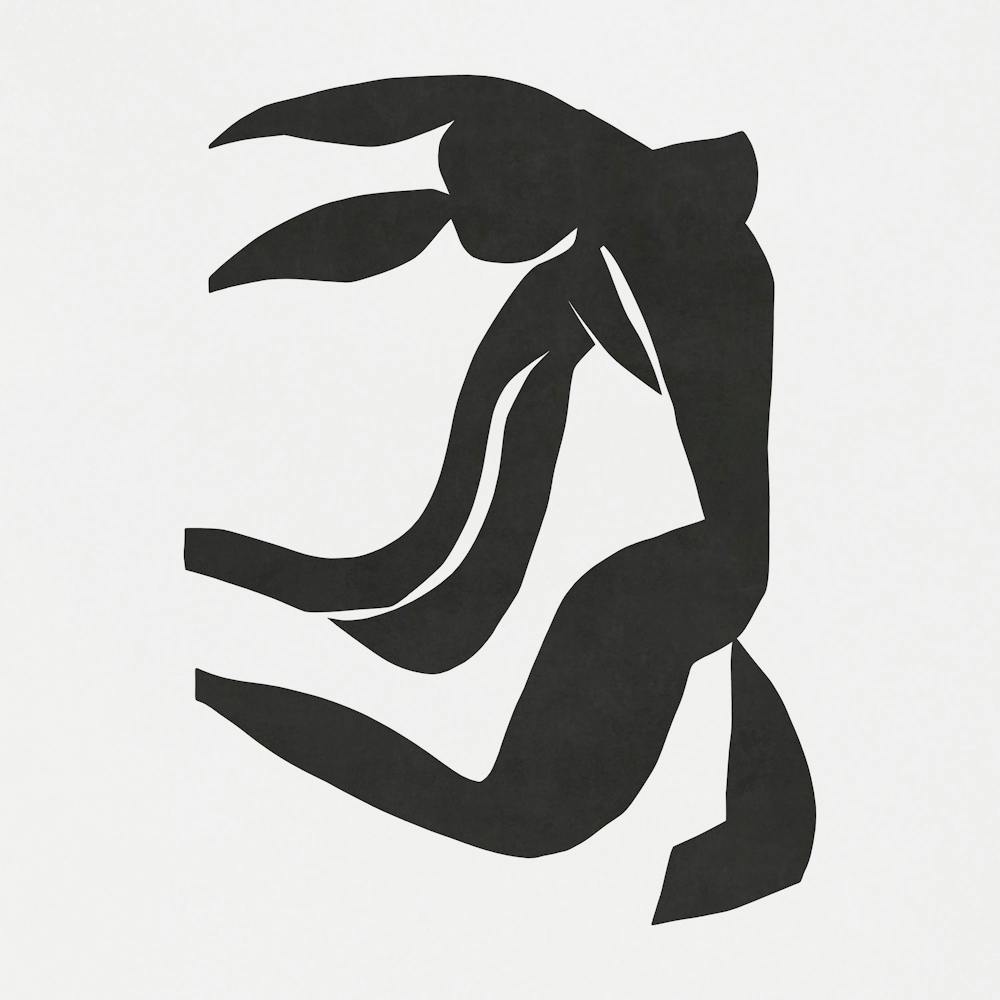 Black Rabbit - Matisse