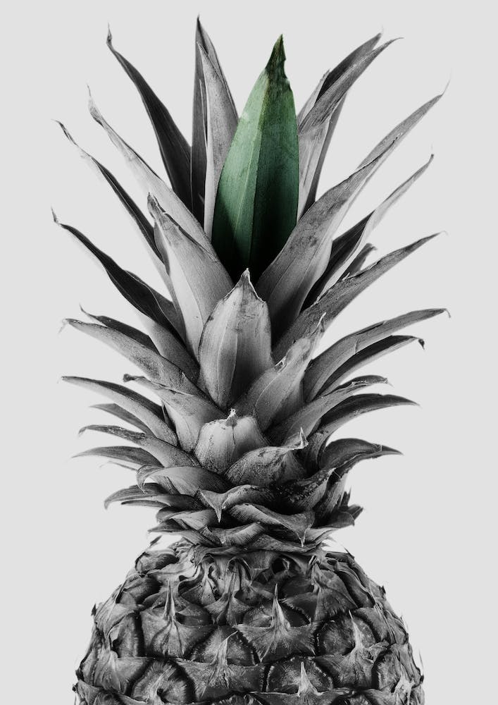 Ananas 2