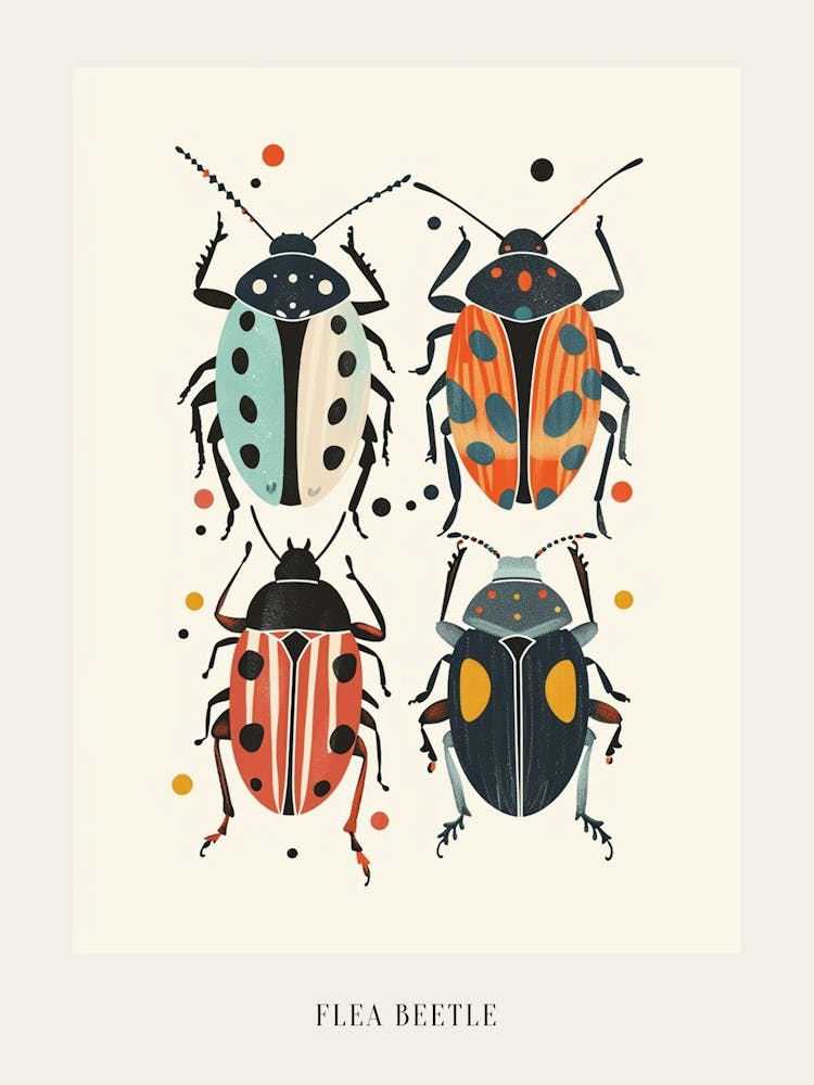 Colourful Insect Illustration Flea Beetle 4 Poster