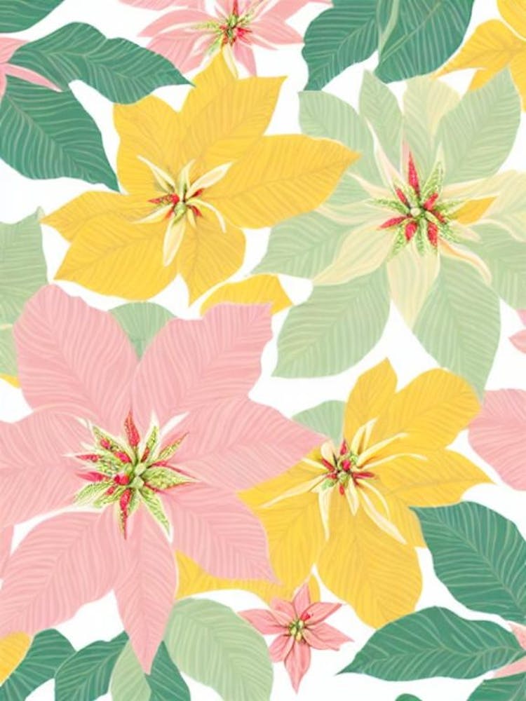Poinsettia Floral Pastel 3 Fleurs