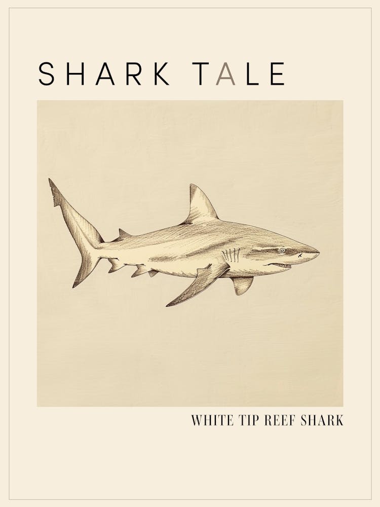 White Tip Reef Shark Vintage Illustration 1 Poster