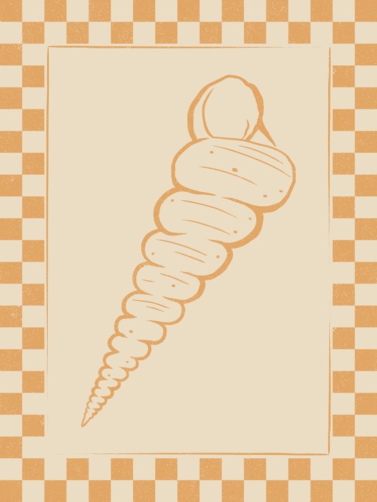 Seashell 09 with Checkered Border