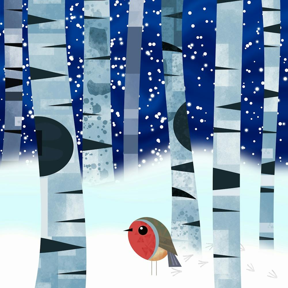 Robin Redbreast in Snow