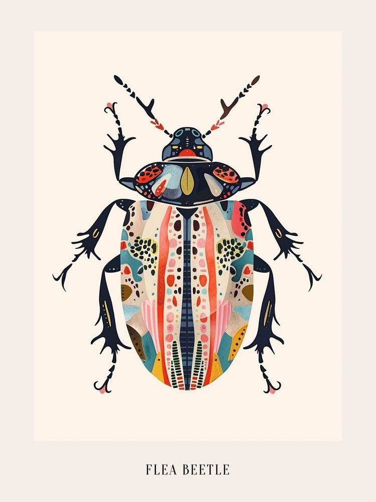 Colourful Insect Illustration Flea Beetle 5 Poster