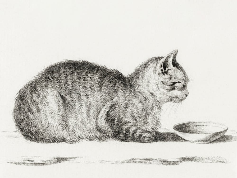 Lying Cat For A Dish, Jean Bernard