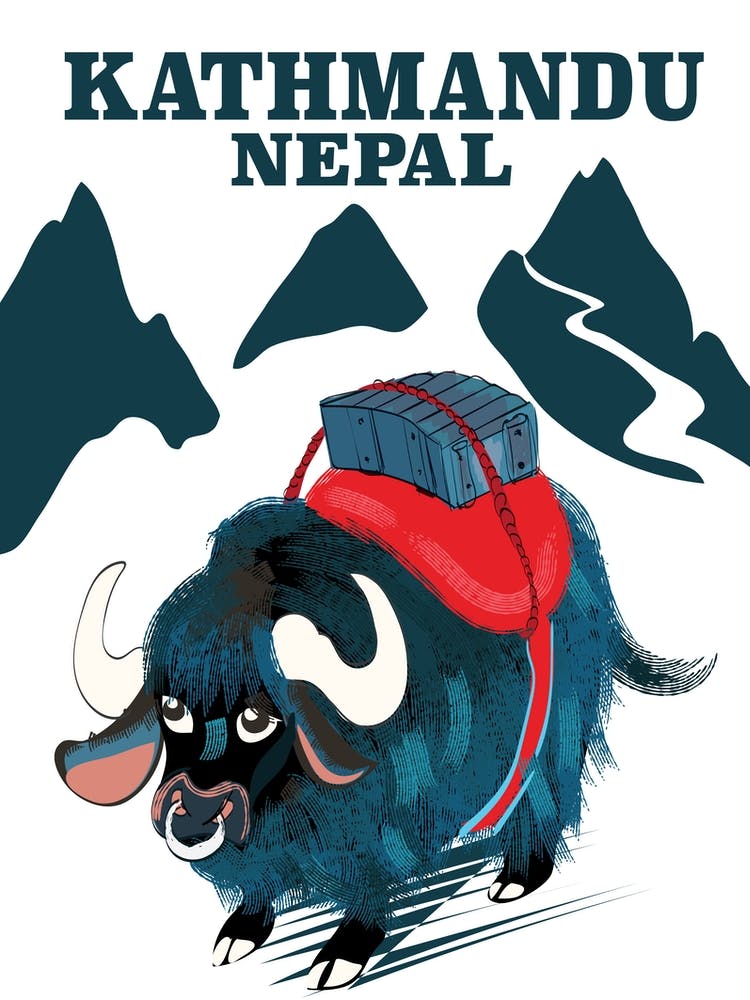 Kathmandu Nepal Yak