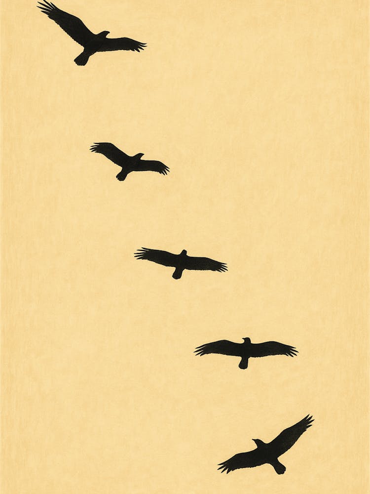 Five Birds Eagles In Flight