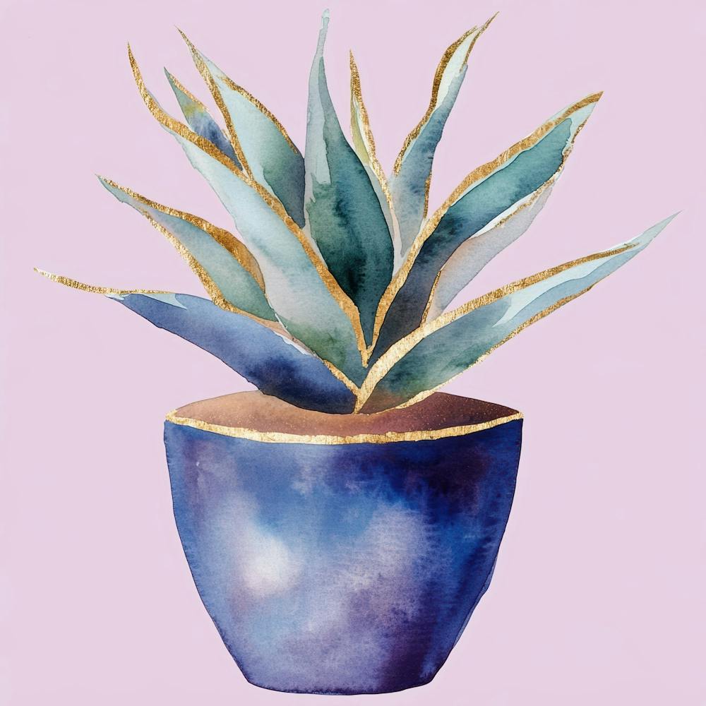 Agave 9