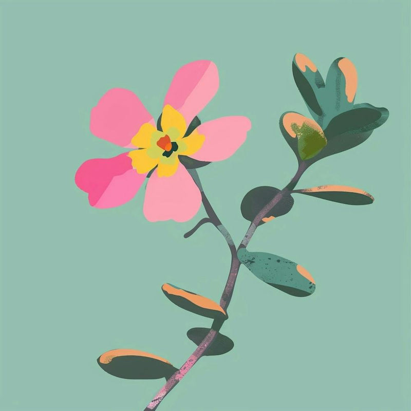 Portulaca 1 Square Flower Illustration