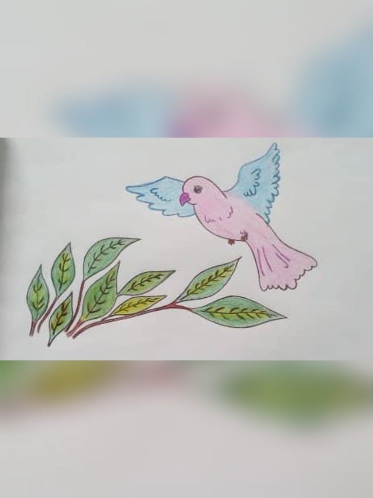 Flying Bird Drawing