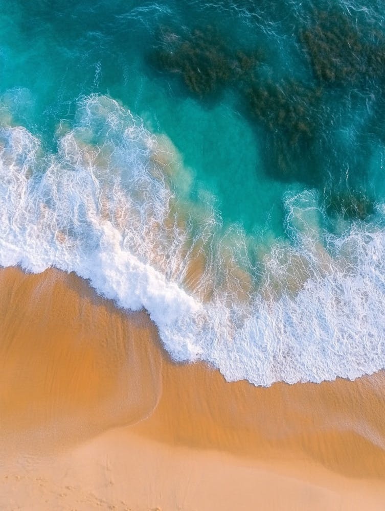 Beach - Beach Stock Videos & Royalty-Free Footage 9
