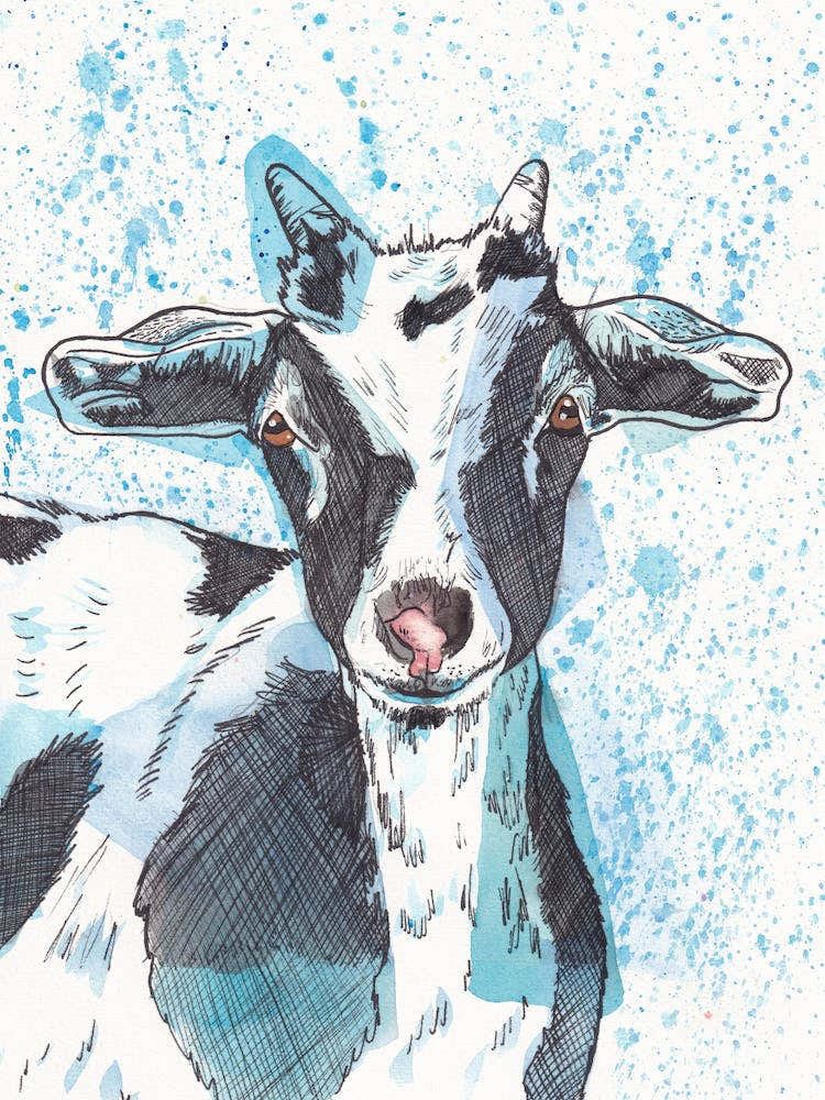 Goat- Watercolour