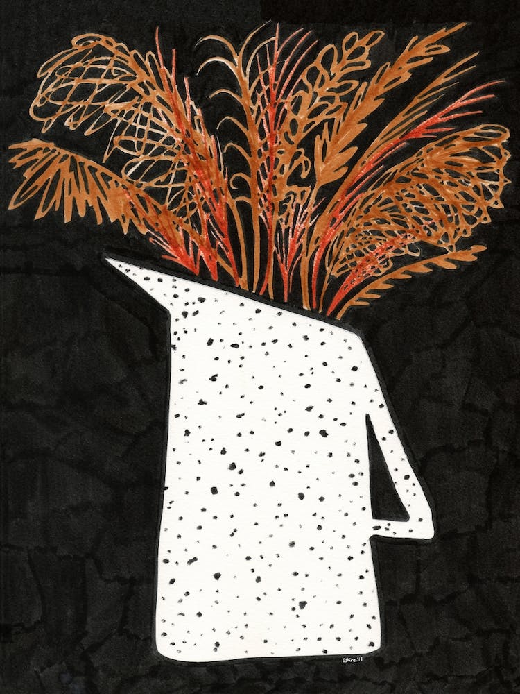 Pampas Grass In Pitcher  Hallway