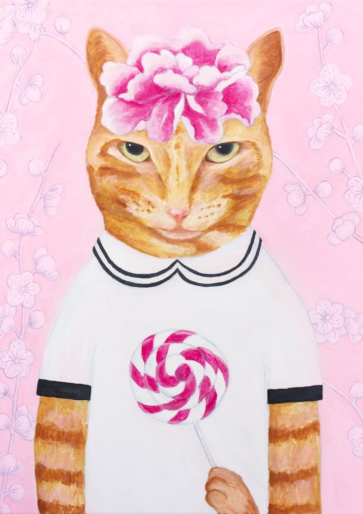 Cat And Lollypop