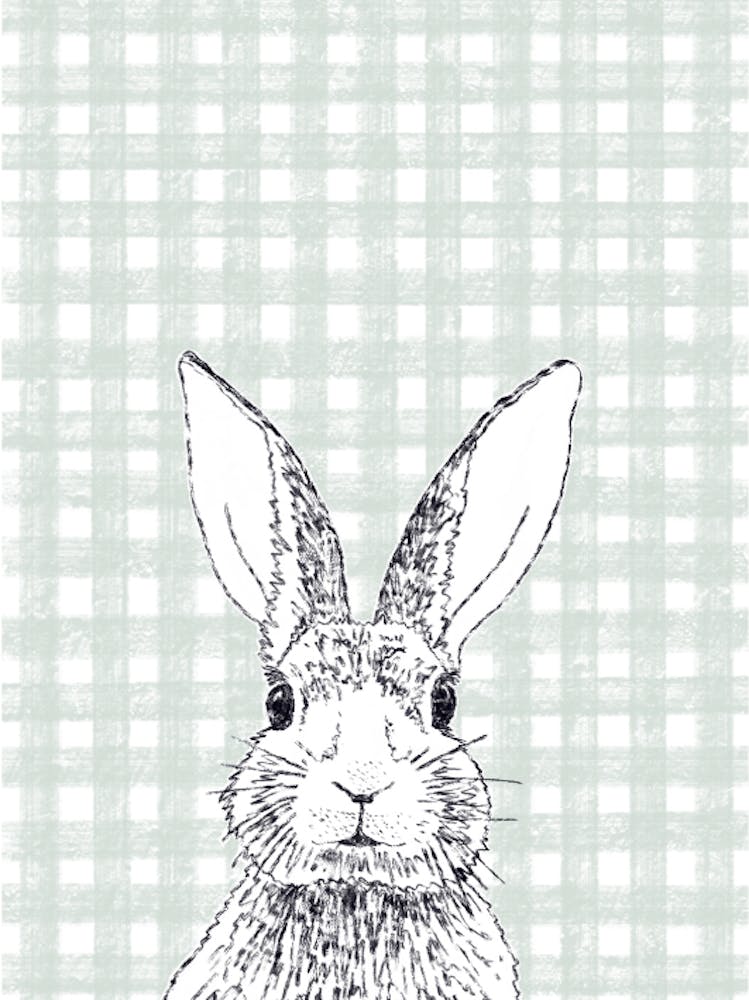 Rabbit Gingham