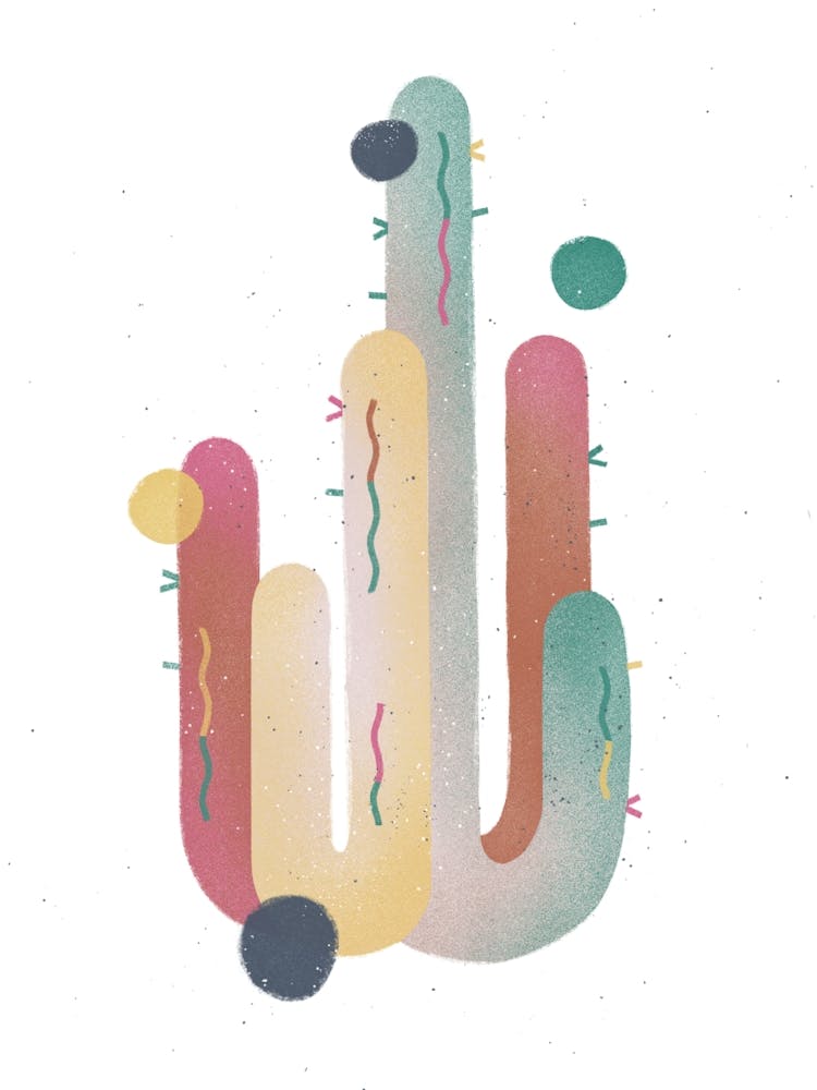 Cactus 1