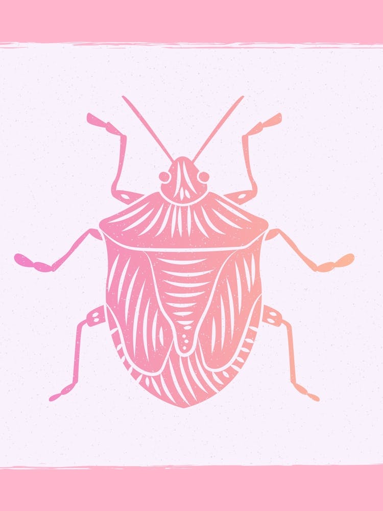 Cockroach