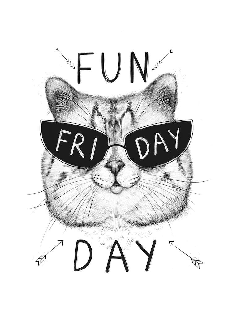 Friday Cat