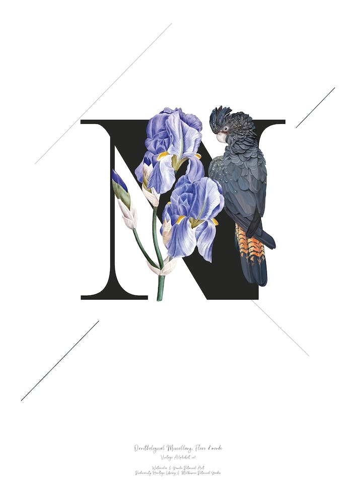 Botanical Alphabet N