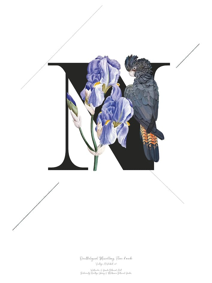 Botanical Alphabet N