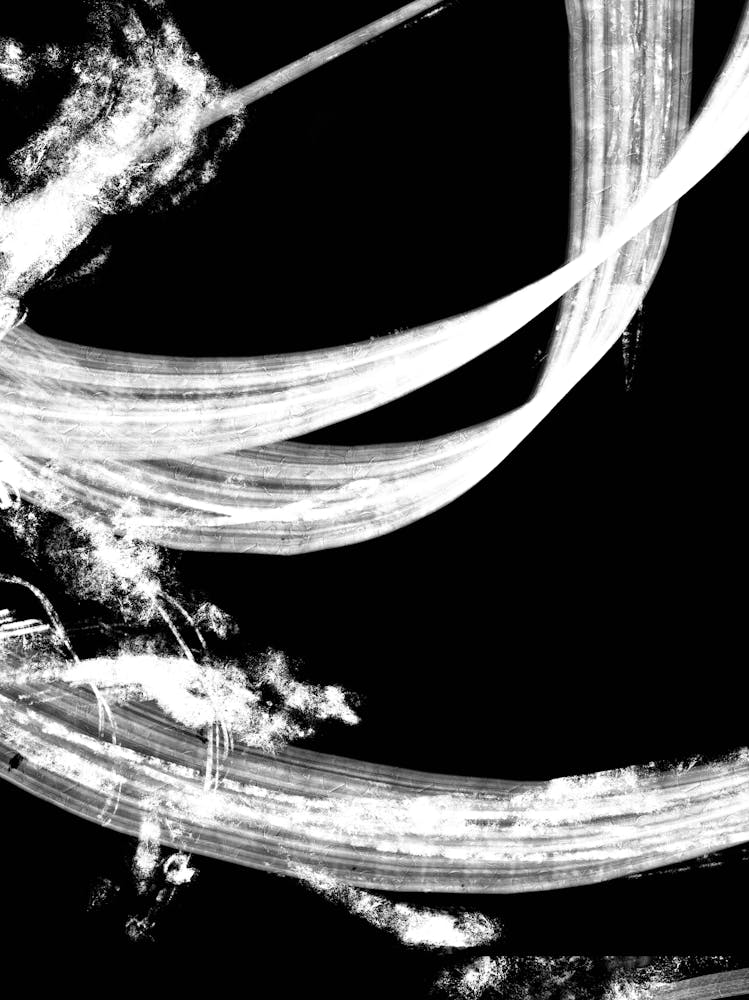 Abstract Strokes B&W_2169926