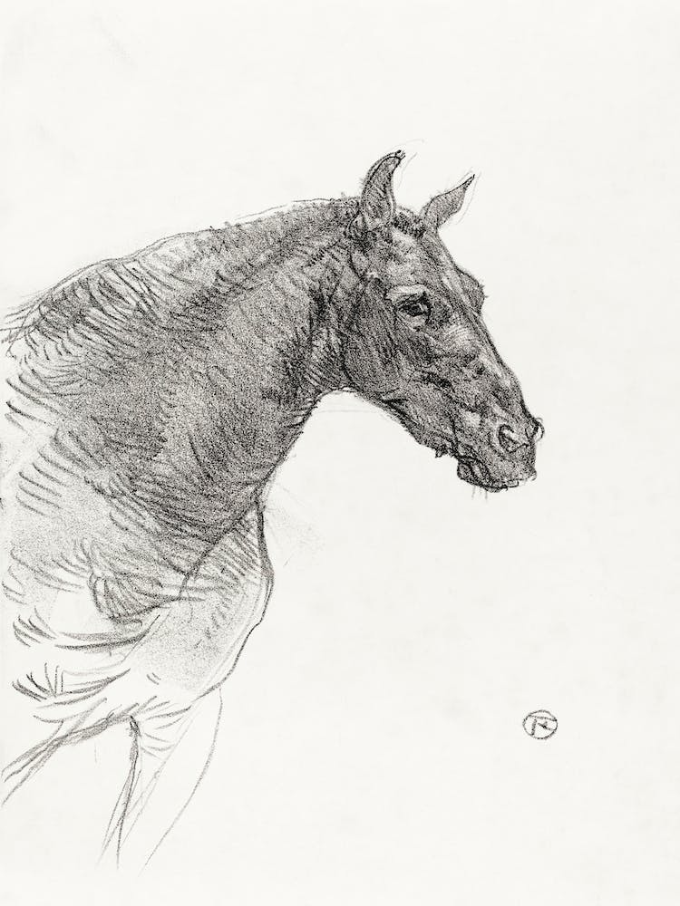 Old Horse (Le Vieux Cheval), (1897), Henri de Toulouse-Lautrec