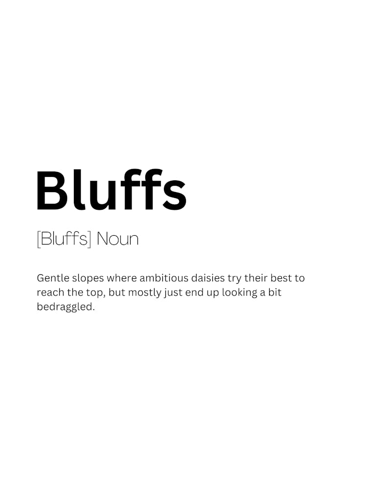 Bluffs Definition Meaning 1