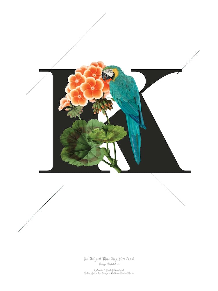 Botanical Alphabet K