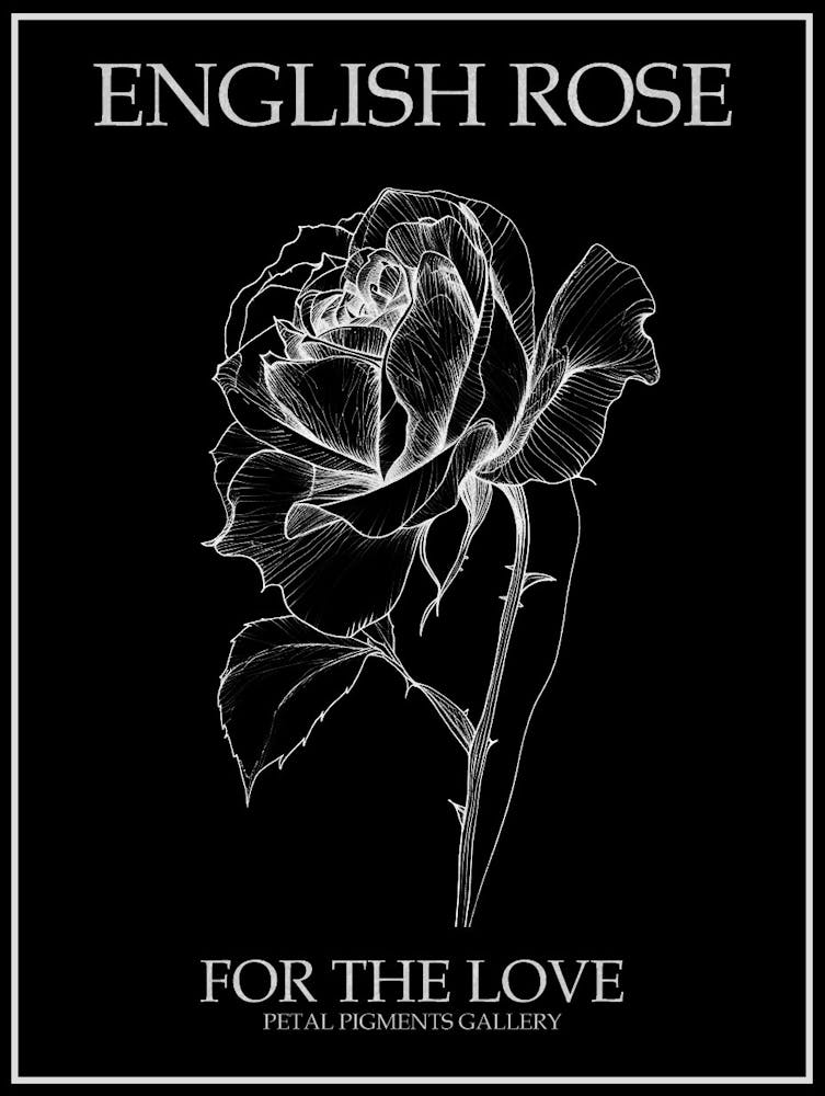 English Rose Black And White Line Drawing 5 Poster Inverted