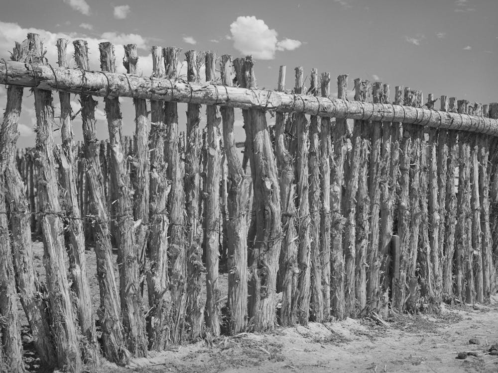 Fence Constructed By Mormon Farmer In Box Elder County, Utah By Russell Lee