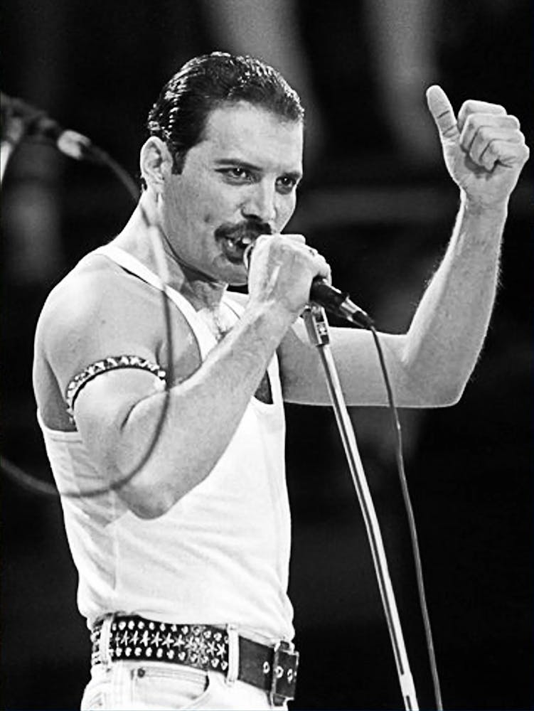 Freddie Mercury 2