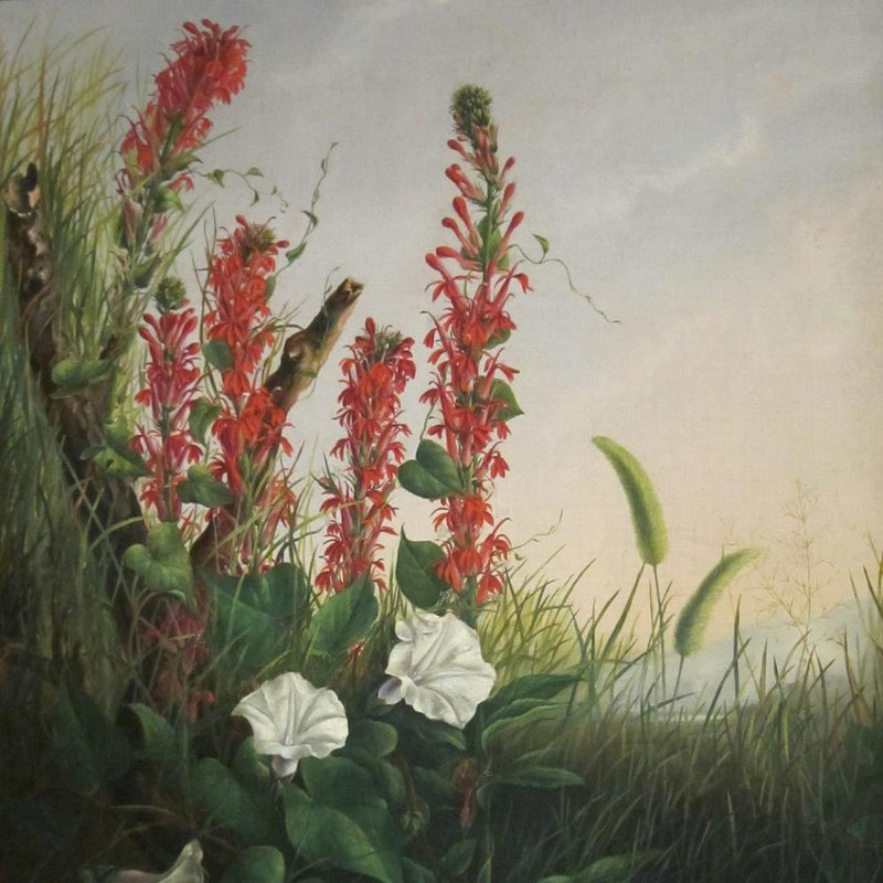 Wildflowers