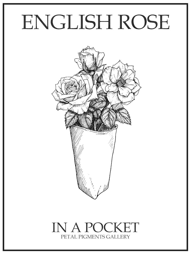 Englische Rose in einer Tasche Strichzeichnung 2 Poster