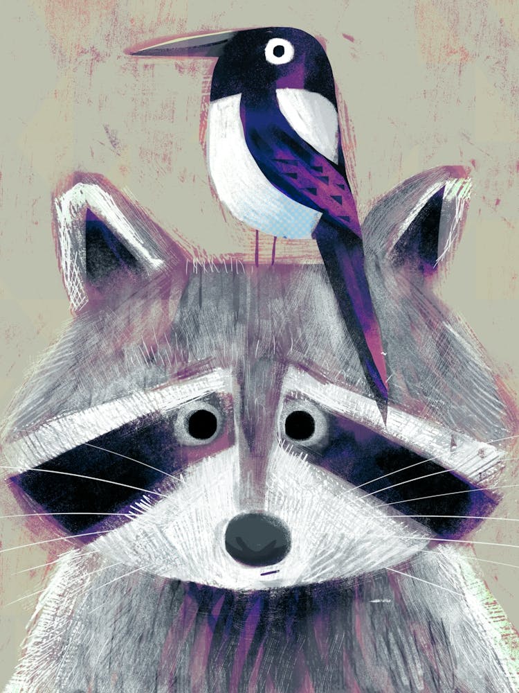 Racoon Fy