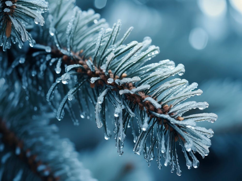 Winterimpressionen Nr. 9