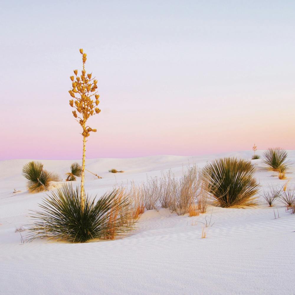 Pastel White Sand Sunset