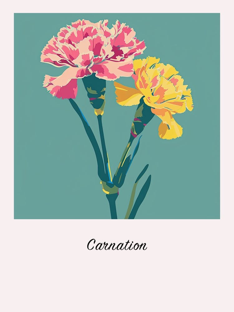 Carnation 2 Square Flower Illustration Poster