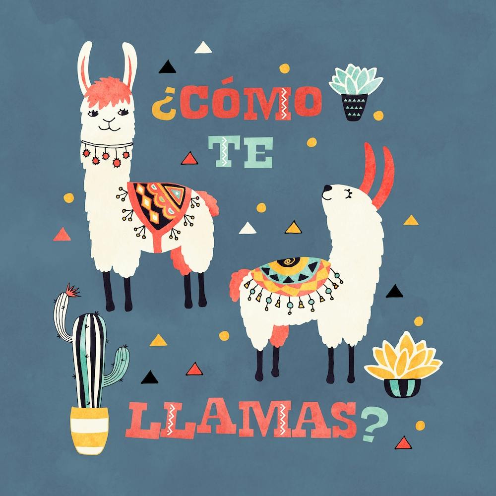 Llama With Cactus Como Te Llama Square