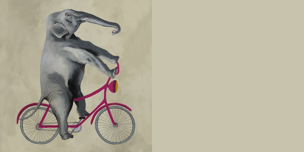 Elephant On Bicycle
