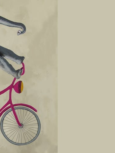 Elephant On Bicycle