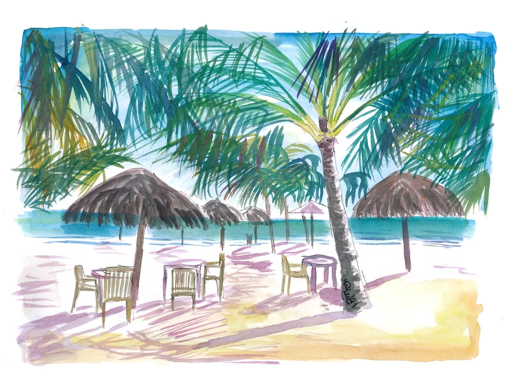 Caribbean Beach Bar Cafe Under Palms