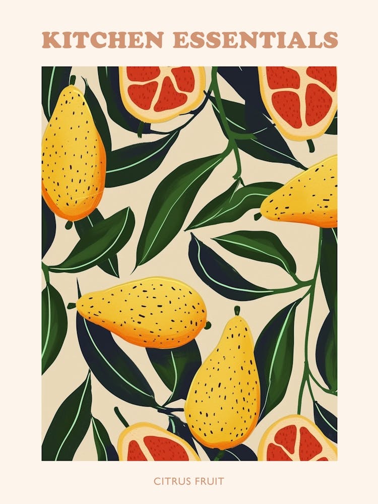 Citrus Fruit Abstract Illustration Poster 2