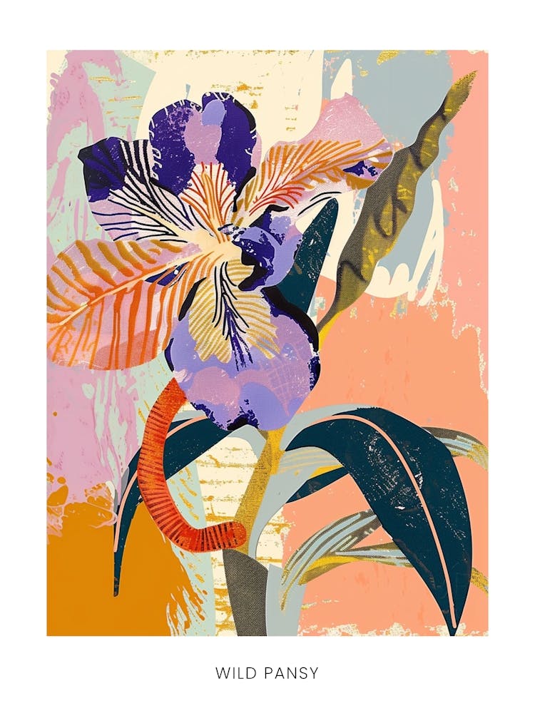 Colourful Flower Illustration Poster Wild Pansy 2