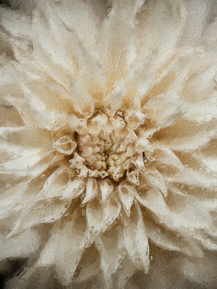 Dahlia Oil Painting