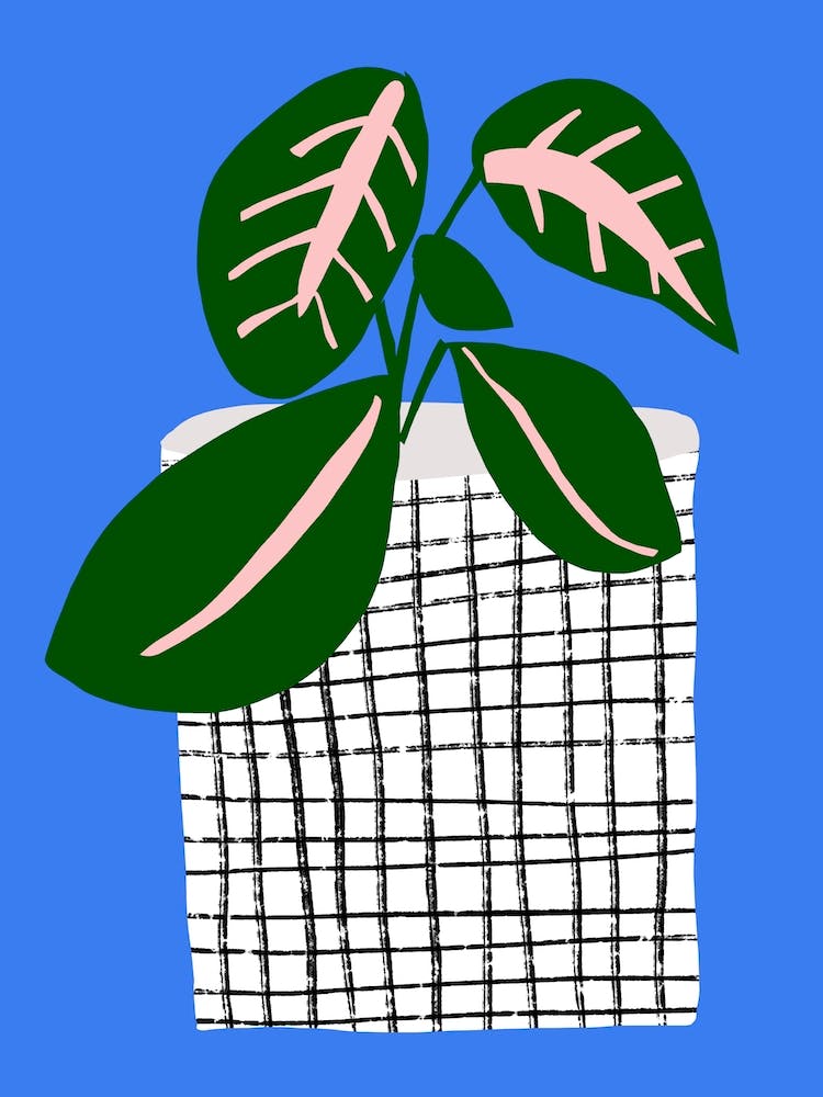 Plantserie
