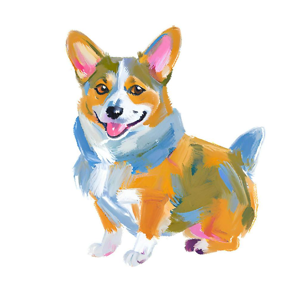 Pembroke Welsh Corgi 03