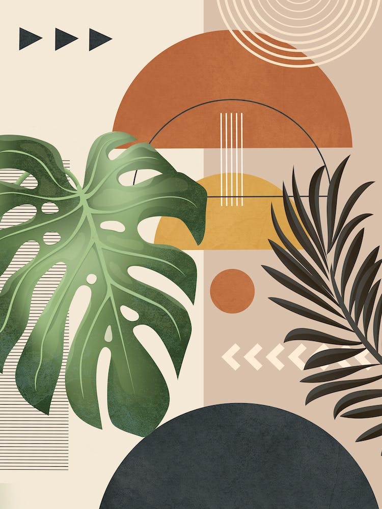 Nature Geometry Xiii