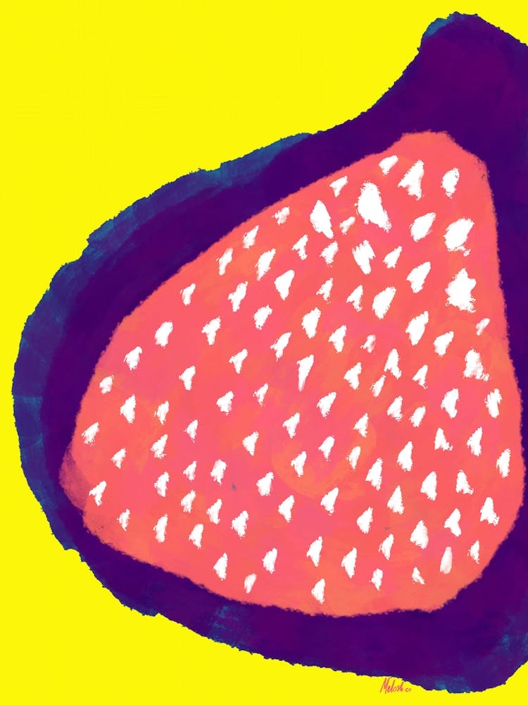 Fig Fruit - Artwork