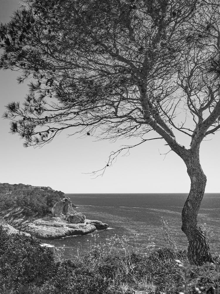 Idyllic coast view of Majorca island, beautiful island scenery of seaside at Santanyi, Spain